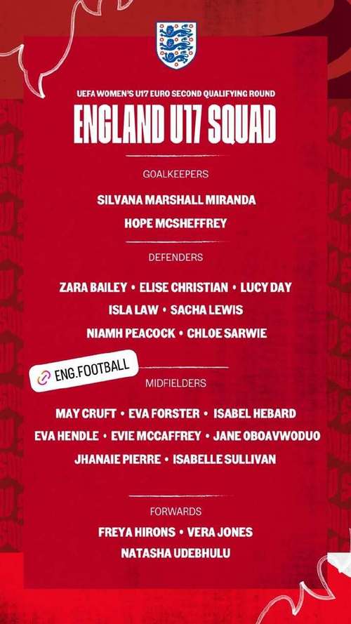 太阳报：佛得角国家队通过领英招募外援，现在他们接近进入世界杯